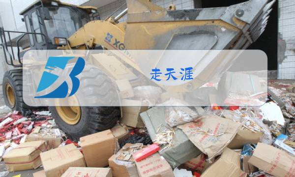 走天涯 降央卓玛原唱下载图片